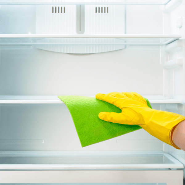 fridge cleaning service